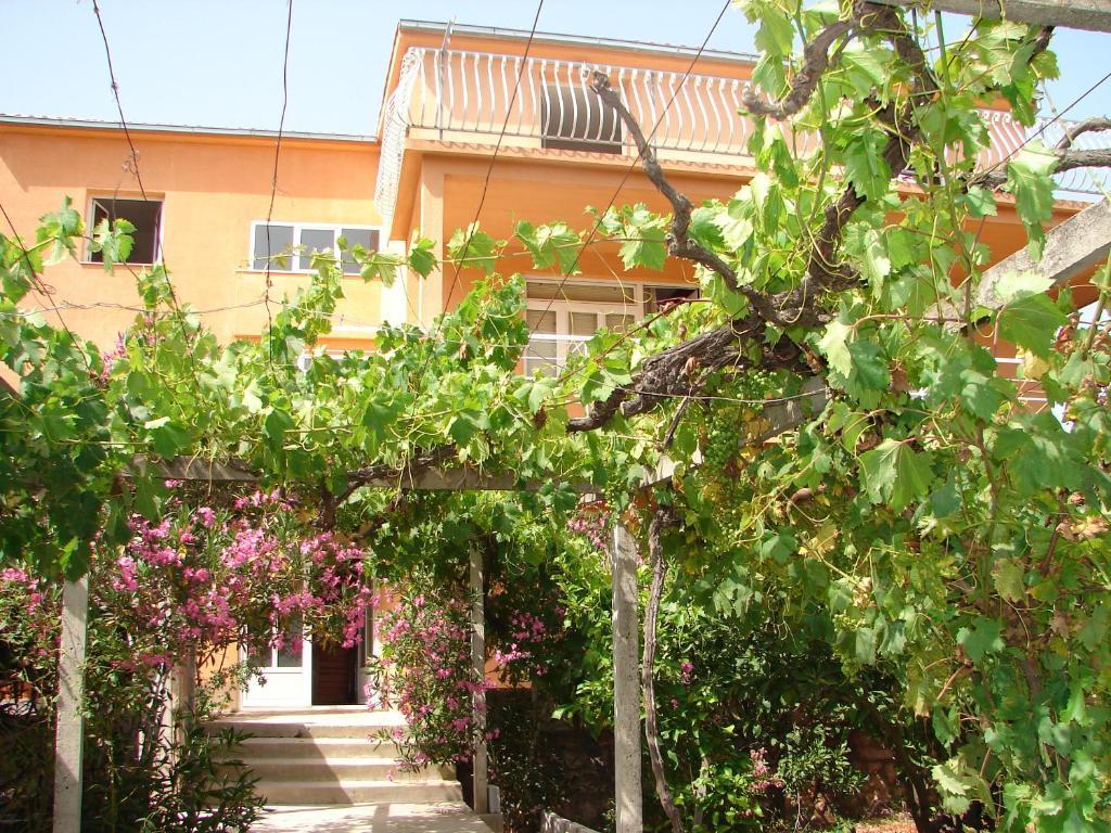 Apartments Jerkovic Stari Grad  Extérieur photo
